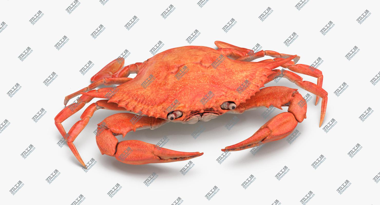 images/goods_img/202105071/Crab 3D/4.jpg